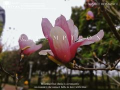 -文华公园(禅城区)