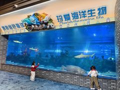 -成都浩海立方海洋公园