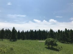 -塞罕坝国家级自然保护区