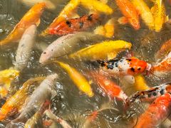 -西部长青自然儿童乐园