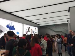 -Apple 零售店(Canton Road)