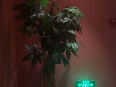 -泰融玺·泰式按摩SPA(包河万达店)