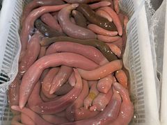 -万盛合(渔人码头店)