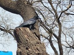 -吴裕泰茶庄(鼓楼店)