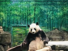 -灵玲国际马戏城