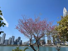 -深圳湾公园(南山区)