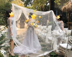 点击看大图 -艾米丽婚纱礼服