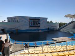 -北戴河圣蓝海洋公园