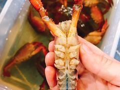 -休记光头香辣蟹干锅(绵竹店)