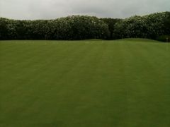 -滨海高尔夫俱乐部