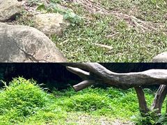 -广州长隆野生动物世界
