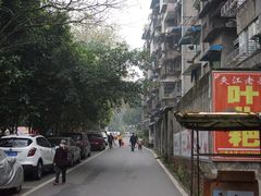 -夹江老头叶儿粑(石雁儿小区店)