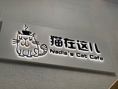 门面-猫在这儿猫咪咖啡馆·撸猫馆