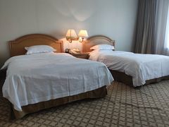 -南京维景国际大酒店(南京博物院店)