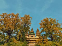 -北京石刻艺术博物馆(五塔寺)