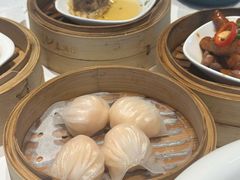 -春满园·早茶·粤菜·宴会(前海店)