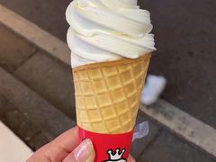 -蜜雪冰城·冰淇淋与茶(长郡中学店)