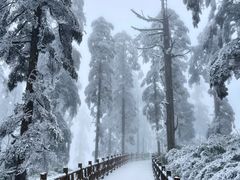 -瓦屋山景区