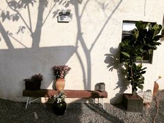 -云里小坐·小院里·团建·宴请·下午茶(三圣乡店)