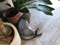 -小时光咖啡馆(北锣鼓巷店)