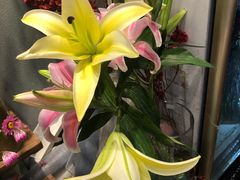 -BOBLOOM花店(宝龙旭辉广场店)