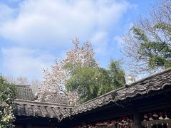 -绍兴鲁迅故里·沈园景区