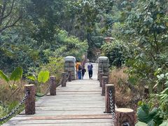 -梧桐山风景名胜区