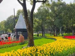 -大宁郁金香公园-停车场