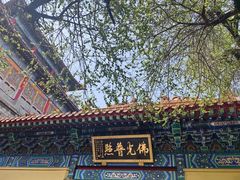 -千佛山风景名胜区