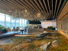 -Seesaw Coffee(朝阳大悦城店)