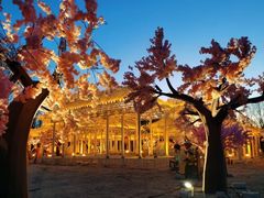 -龙湖星悦荟(颐和店)