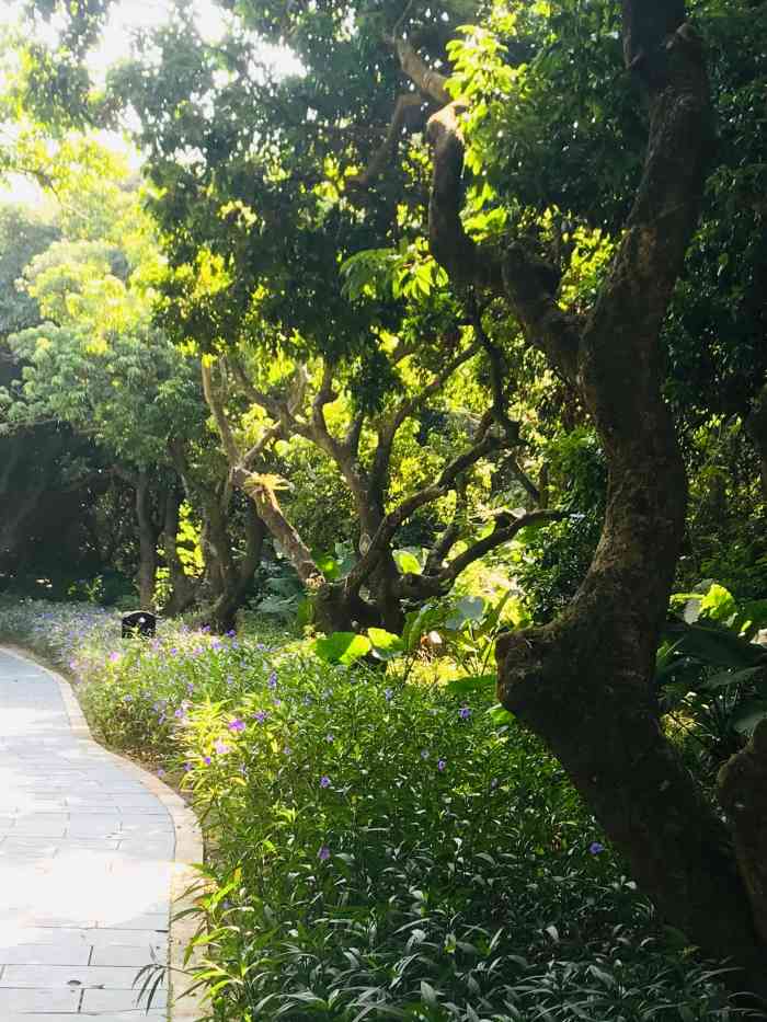 月亮湾公园-"位于南山区南山脚下,与青青世界一墙之隔,.