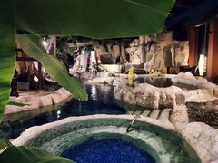 -中铁花水湾温泉酒店(大邑店)