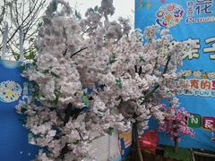 -苏州海洋馆