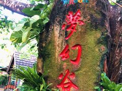 -呀诺达热带雨林