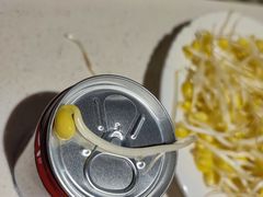 -红鼎坊·老成都火锅(新南门店)