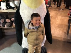 -企鹅岛