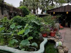 -园林美食城·本土农家菜(杨和镇店)