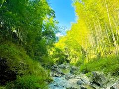 -火炉山森林公园