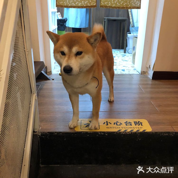 超温馨可爱的甜品店