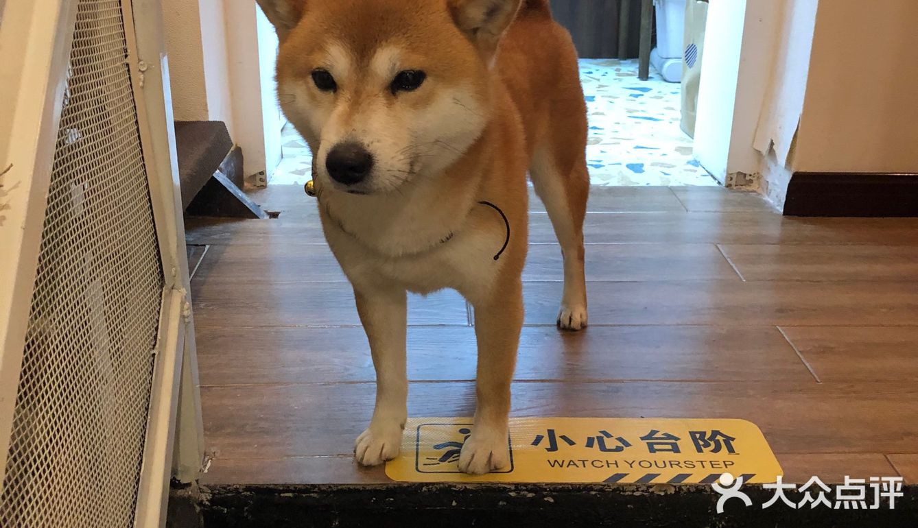 超温馨可爱的甜品店