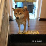 超温馨可爱的甜品店