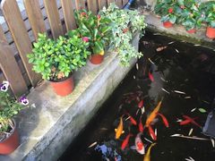 -老洋房花园饭店(绍兴路店)