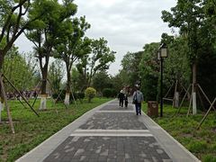-西海子公园