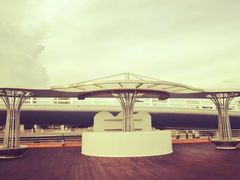 -演武大桥观景平台