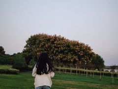 -滨湖塘西河公园