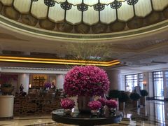 -北京中国大饭店