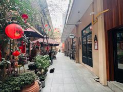 -嘉善老市