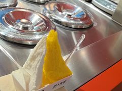 -野人先生现做冰淇淋(北京王府井东方新天地店)
