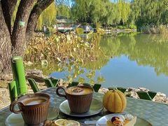 -三忘湖 SWANSEEN(柳荫公园店)